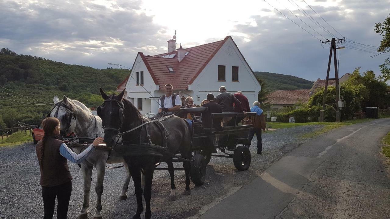Palos Resort Zalacsány Eksteriør billede