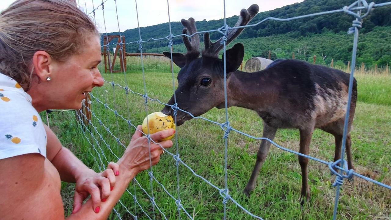 Palos Resort Zalacsány Eksteriør billede